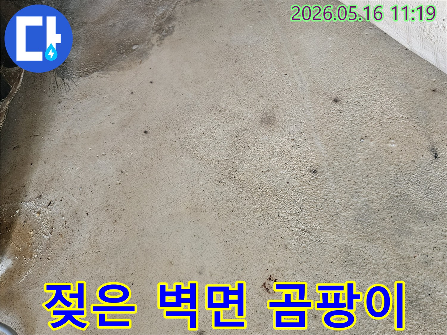 습기로-인해-콘크리트-벽면에-생겨난-곰팡이와-물자국-현상