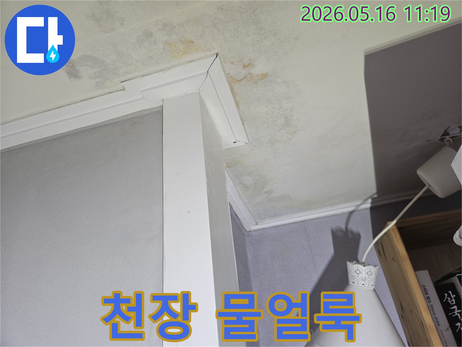 오래된-아파트-천장에서-물샘으로-인해-얼룩과-곰팡이가-번진-현장을-촬영한-이미지입니다.