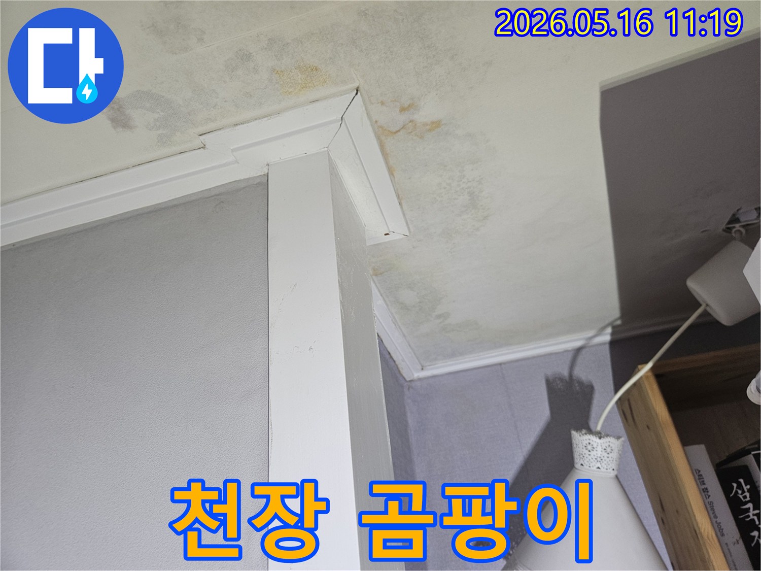 천장-모서리-부분에-생긴-누수-얼룩과-곰팡이로-인한-내부-마감재-손상을-기록한-사진입니다.