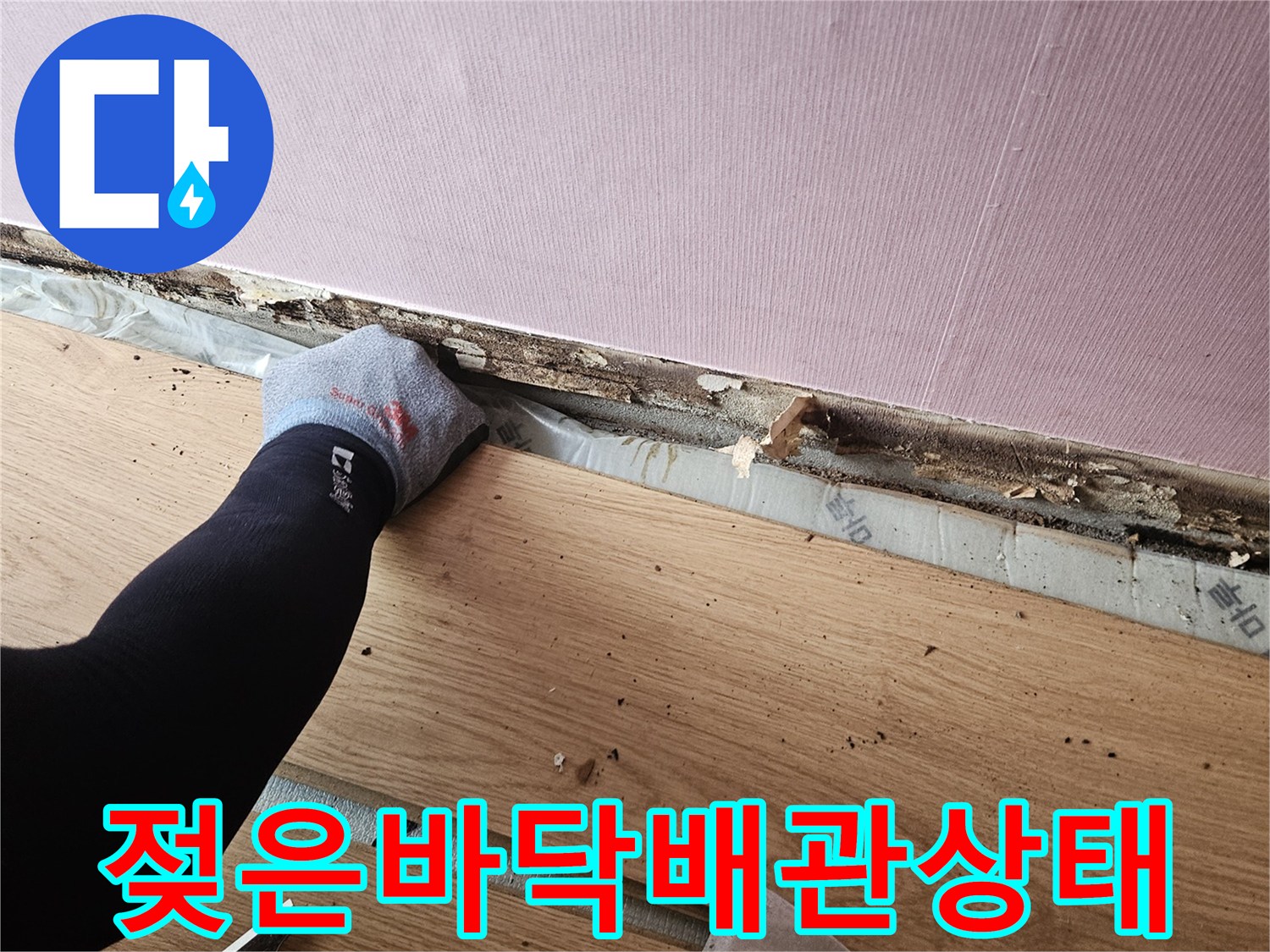 중랑구-현장-마루-철거-후-노출된-배관-주변의-습윤한-상태