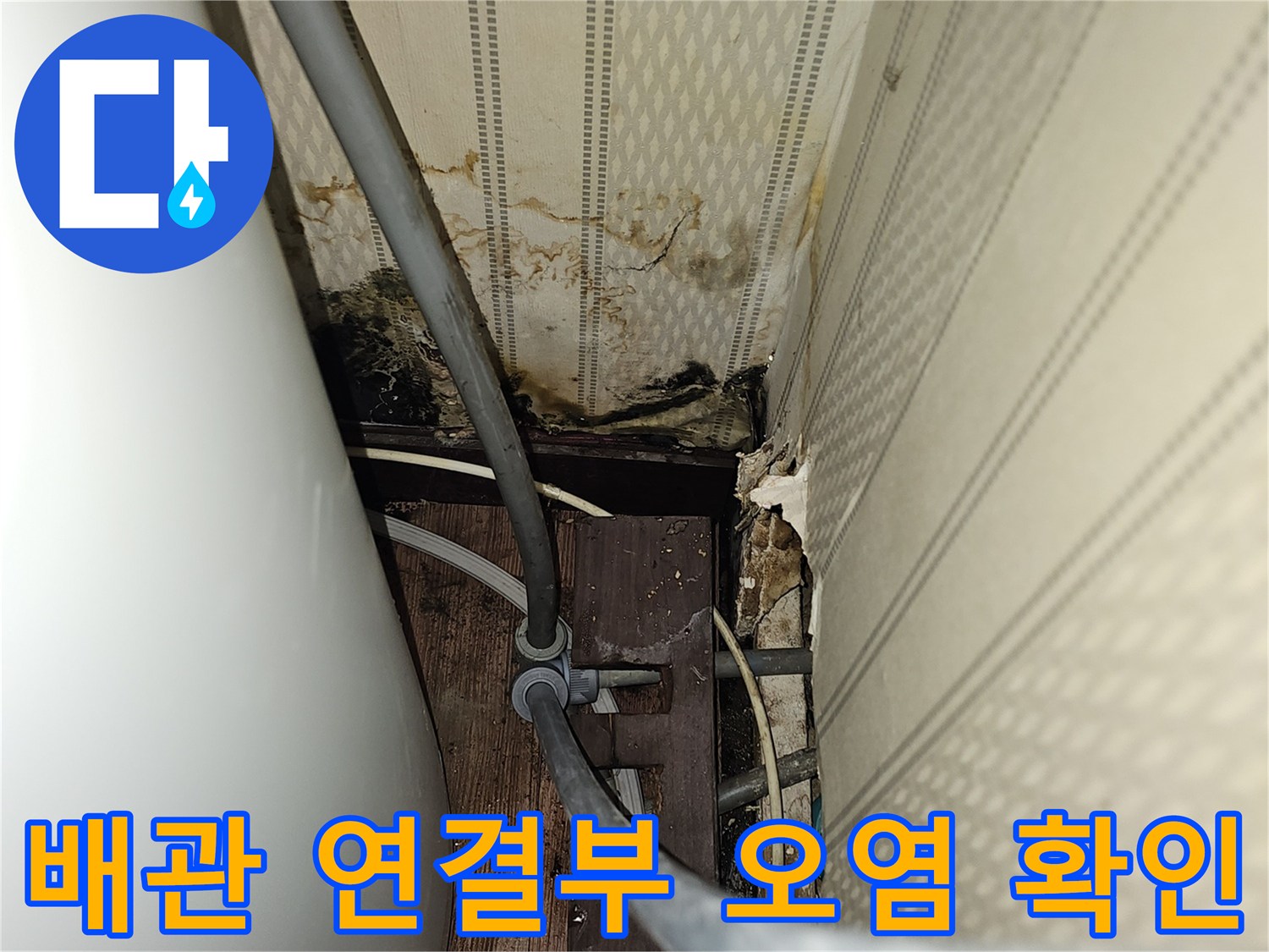 온수 탱크 하단-배관 주변의 곰팡이 및 오염 부위