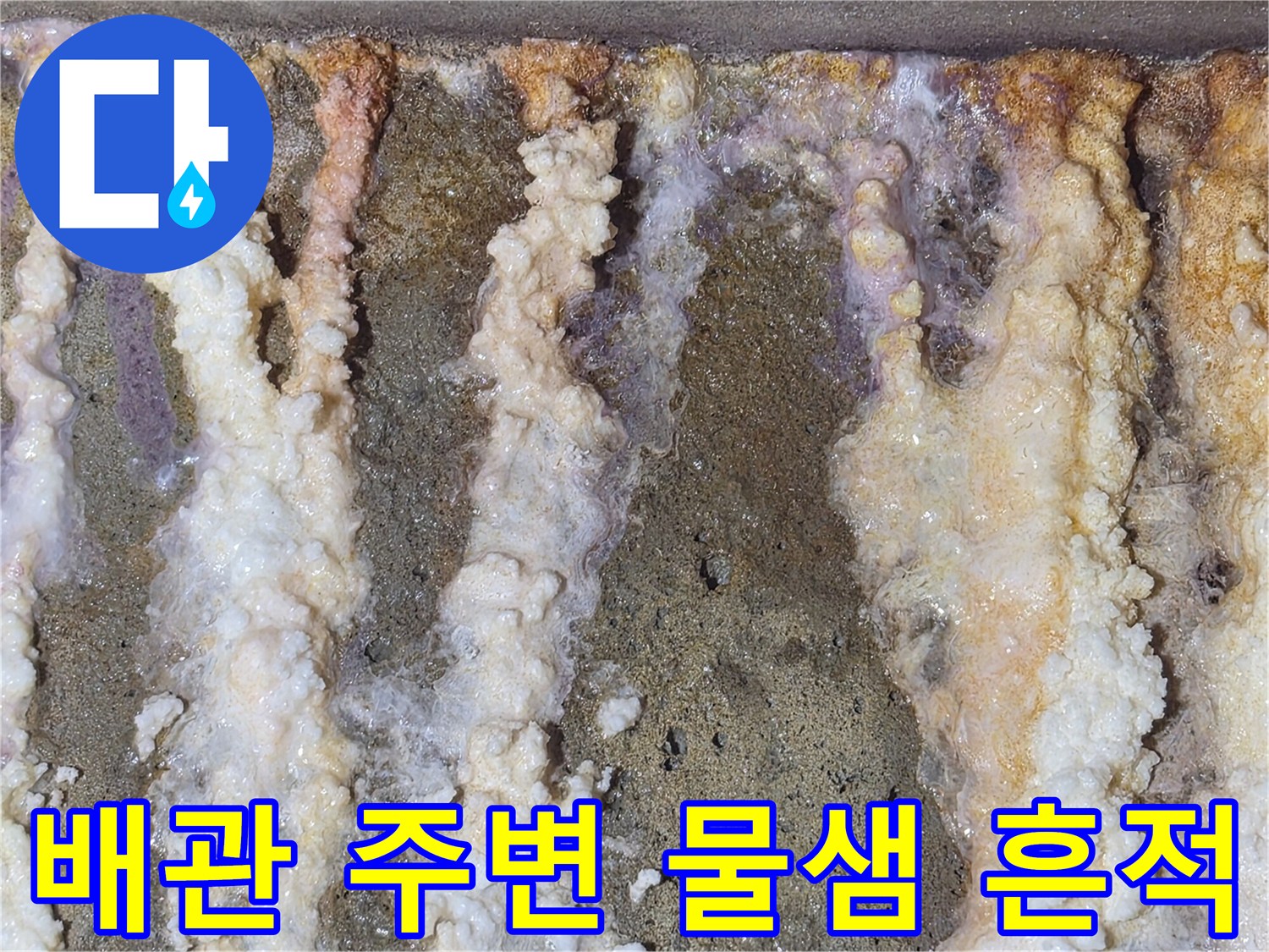 천장 배관 주변에 형성된 하얀색 석회물 자국