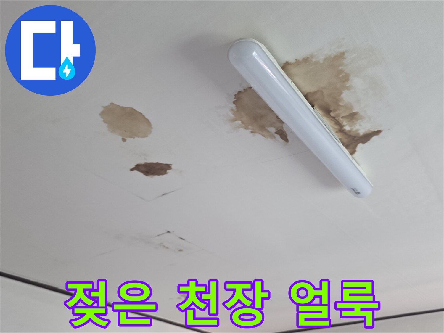 흰색 천장에 발생한 갈색 누수 흔적과 습기 부위