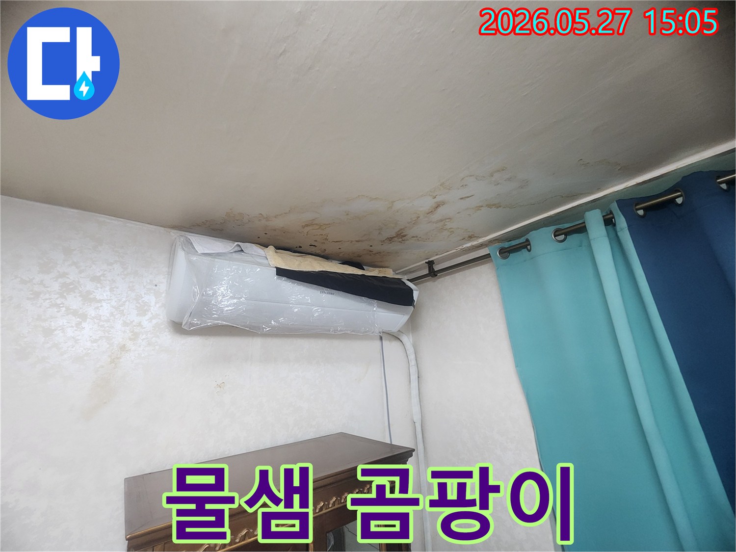 오래된 누수로 인해 천장 벽지가 젖고-곰팡이가 심하게 발생한 모습