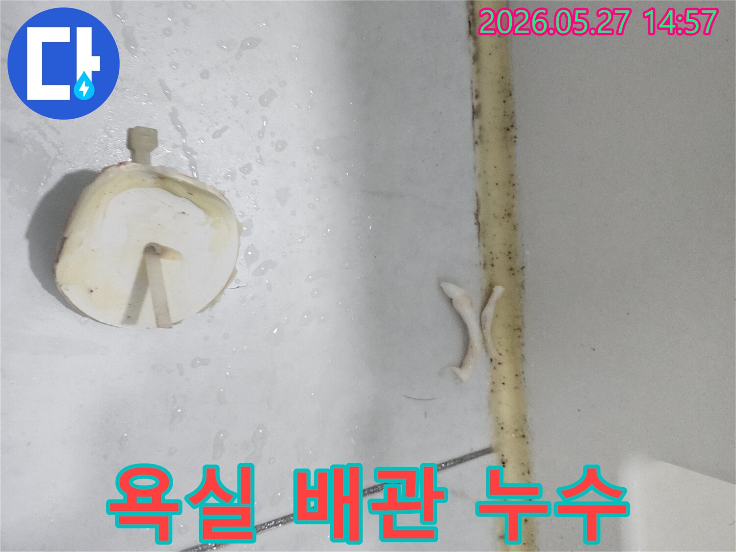 동탄 지역-아파트 욕실에서-발견된-누수 현장의-타일과-실리콘 상태입니다