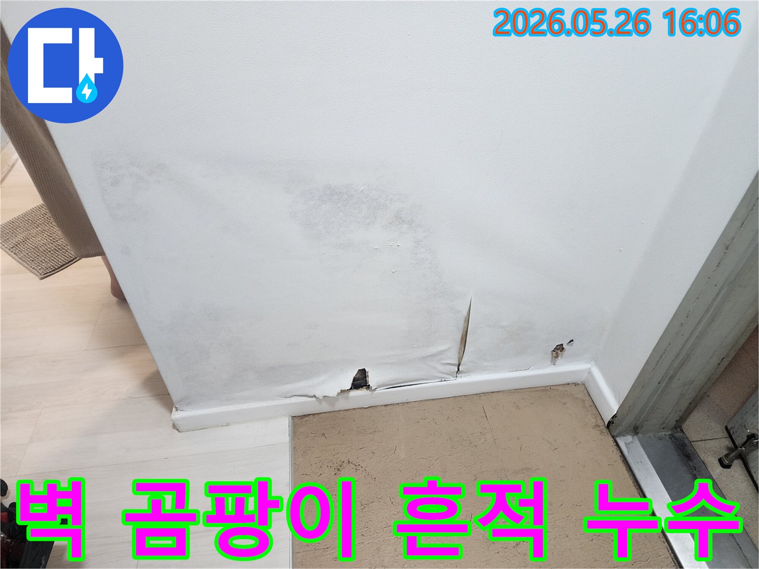 벽지-하단이-젖어-찢어지고-곰팡이가-번진-누수-발생-벽면