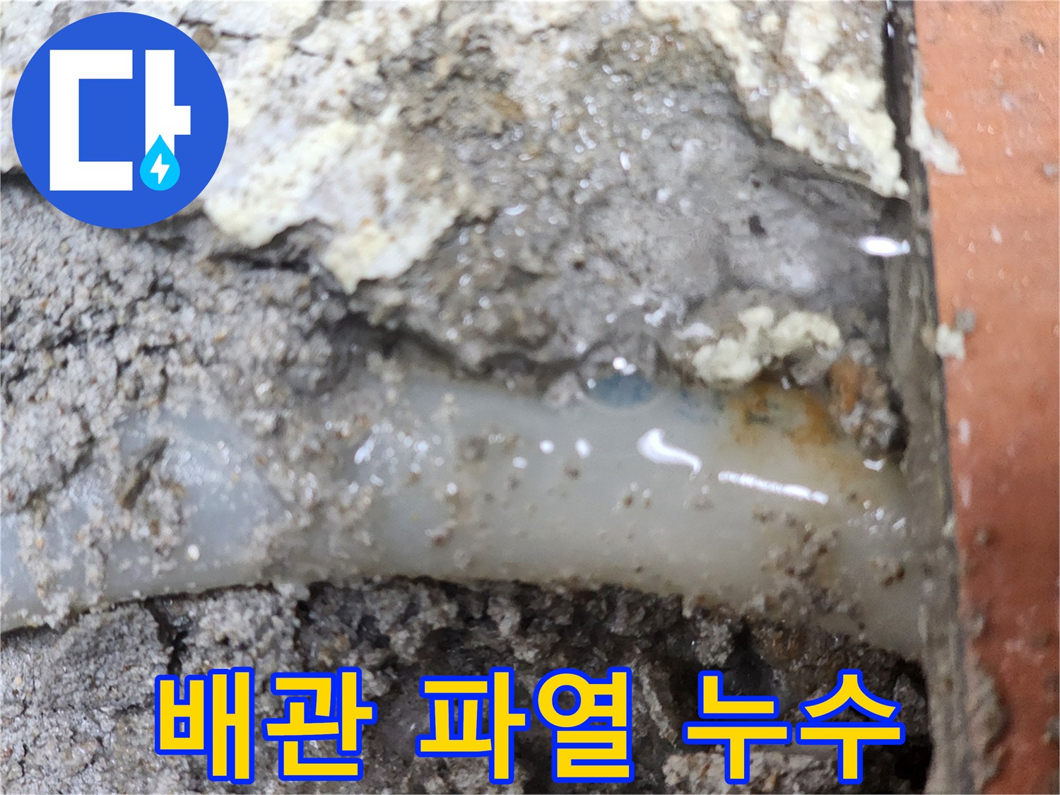 누수-전문가가-발견한-배관-파열로-인한-누수-현장입니다