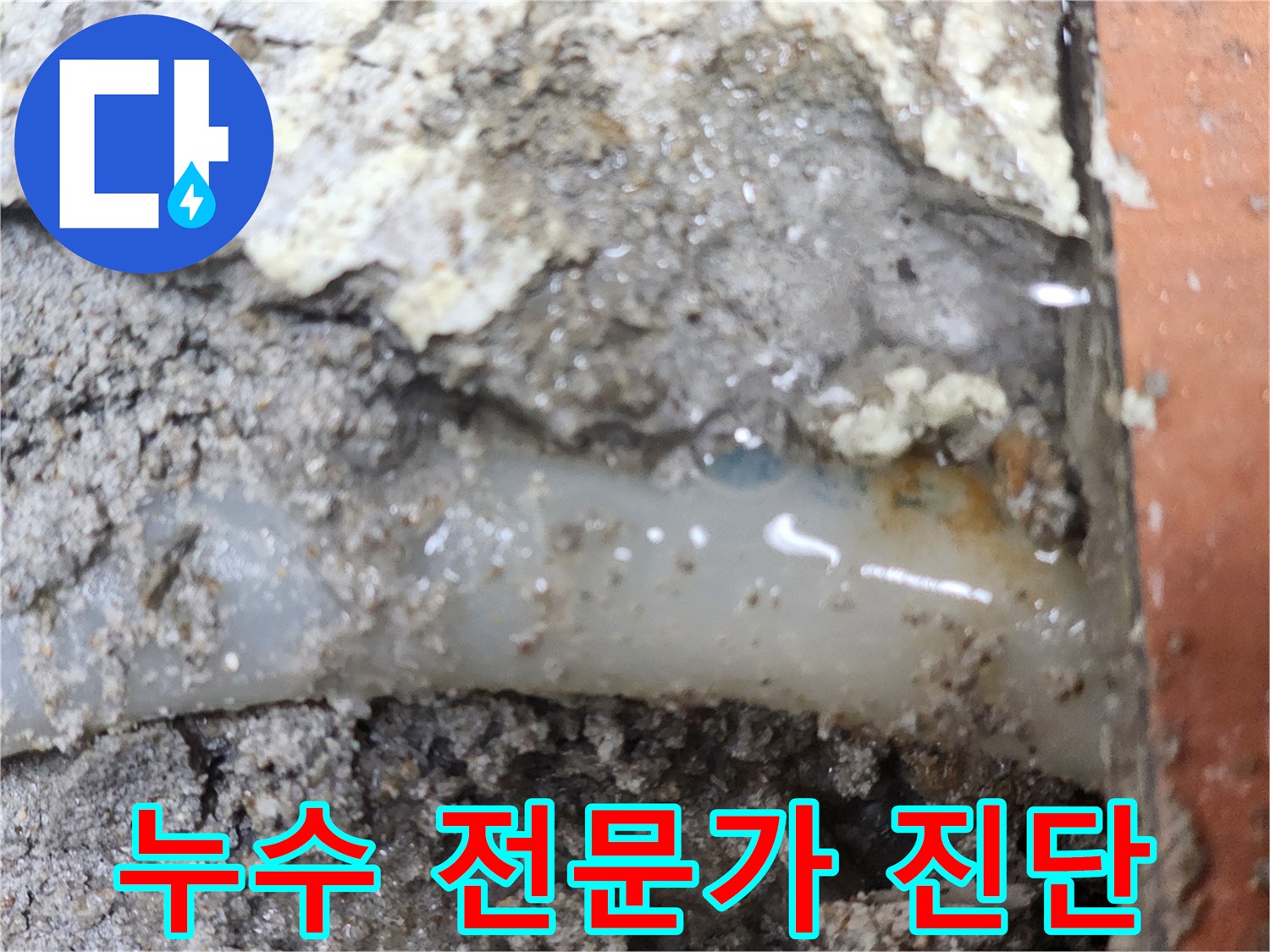 누수-전문가가-정밀-진단으로-누수-지점을-확인한-현장입니다