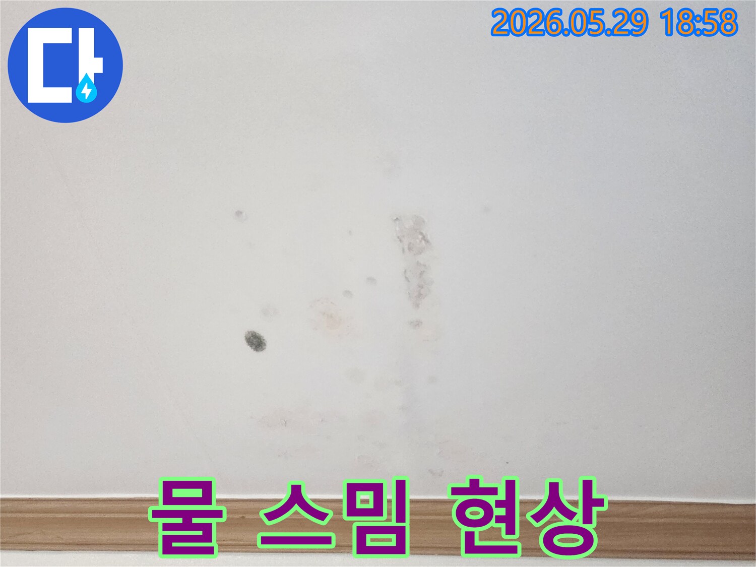 물샘 현상으로-천장에-발생한-젖은-자국과-곰팡이-징후를-포착한-이미지입니다