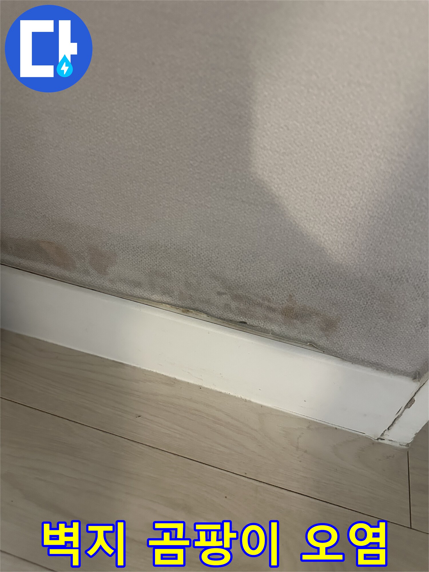 벽면 아래쪽의 어두운 색으로 변한 곰팡이 발생 부위
