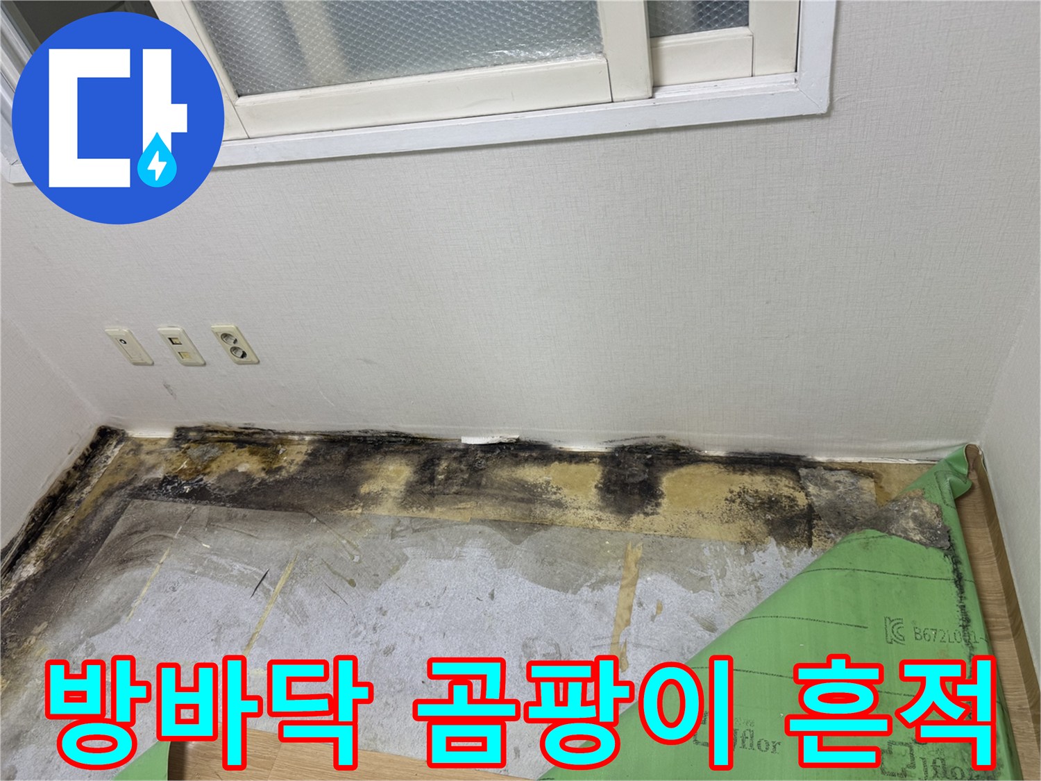 송파구 아파트 벽면 하단-곰팡이와 습기가 번진 상태