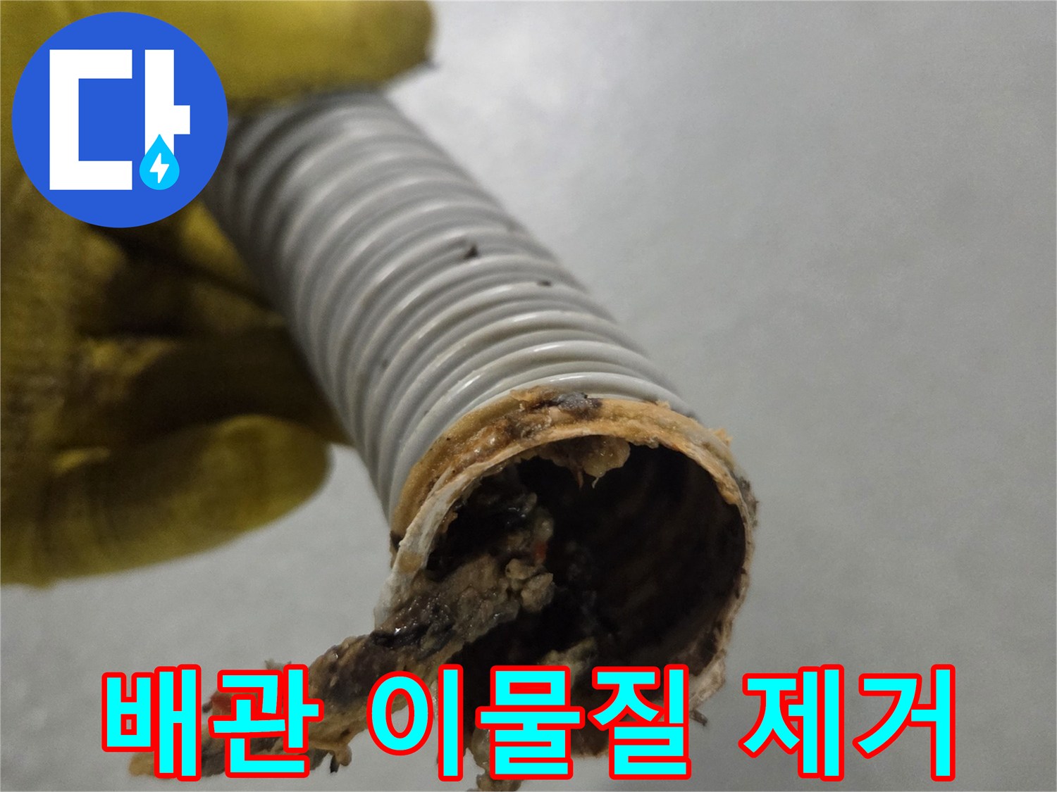 노란 장갑을 낀 손이-배관 내부에서 제거된-심각한 이물질을 보여주고 있습니다.