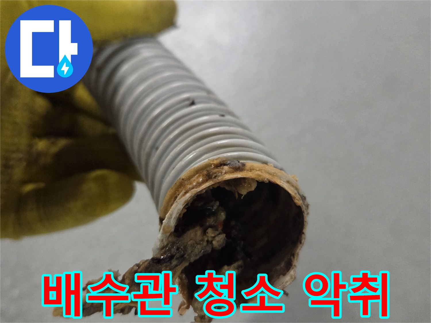 노란색 장갑을 낀 손이-악취 제거를 위해-청소 전 오염된 배수관을 보여줍니다.