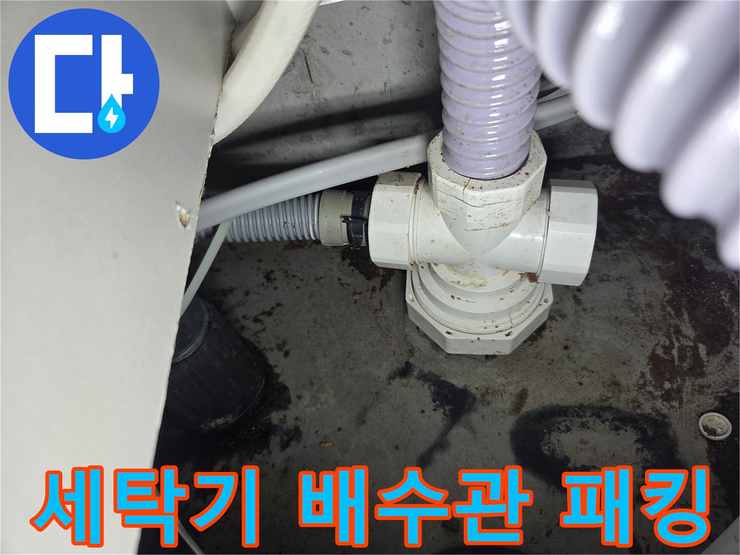 세탁기-배수관-고무-패킹에서-발견된-누수-현장을-보여주는-사진입니다.
