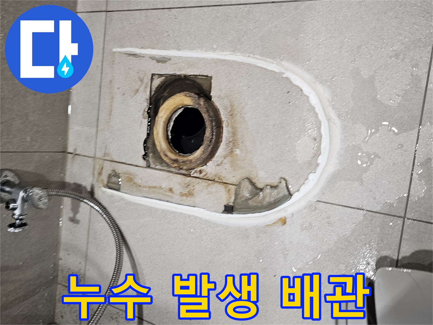 분당 금곡동-변기 탈거 후 확인된 오배수 배관 누수 현장