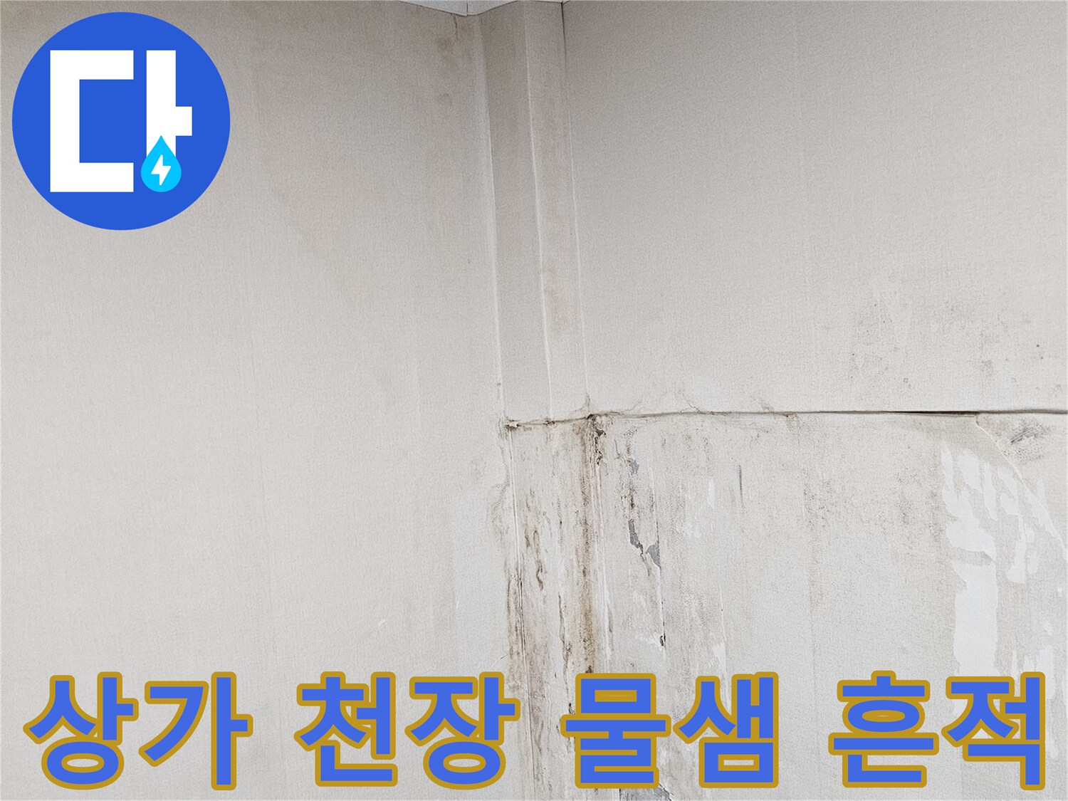 용인 수지구 상가 천장 벽면의 누수 피해 상태를 보여주는 사진
