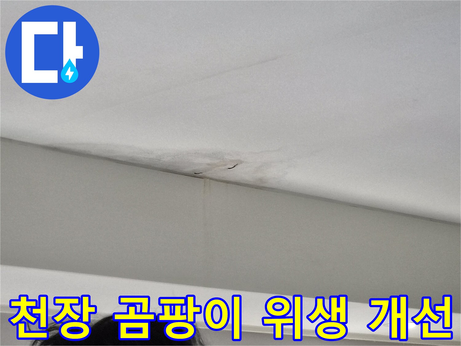 천장-모서리-부분에-발생한-누수-얼룩과-그로-인해-번진-곰팡이-흔적을-보여주는-주택-현장