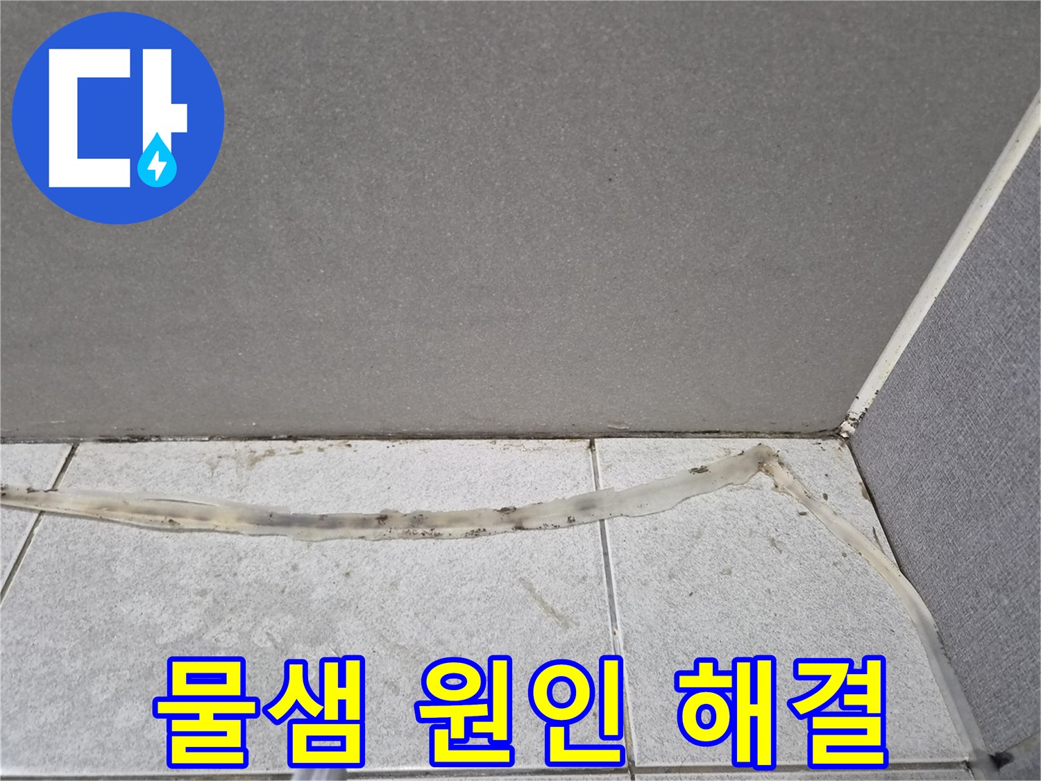 타일-틈새에서-발견된-물샘-원인을-파악하고-해결하기-전-모습을-보여주는-사진입니다.