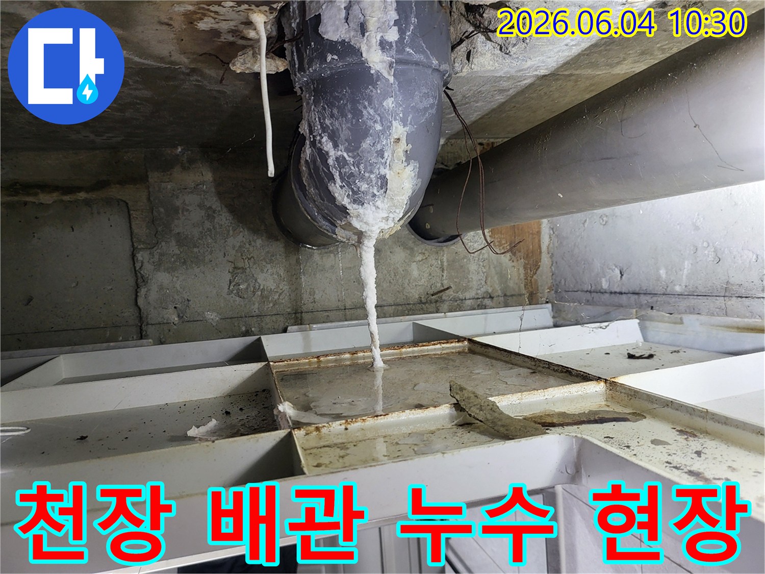 천장 배관에서 발생한 심각한 누수로-석회 침전물이 얼음처럼 고드름 형태로 맺힌 모습