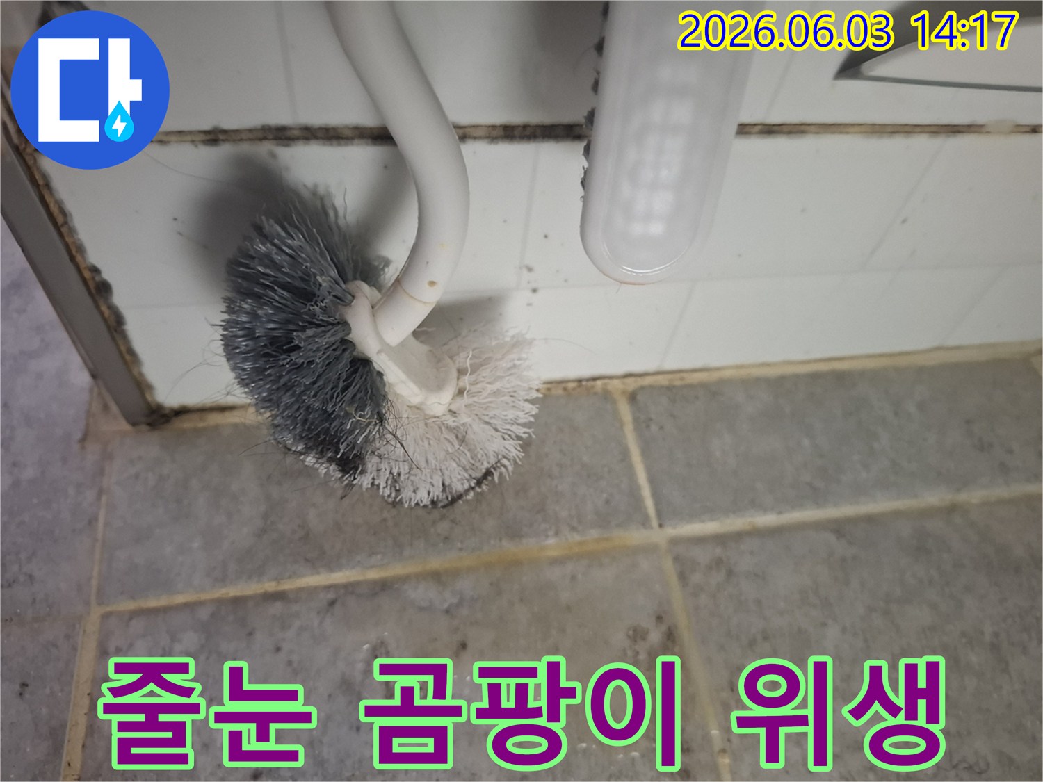 지저분한 욕실-타일 줄눈에-번식한 곰팡이로-인한 위생 문제를-보여주는 이미지입니다