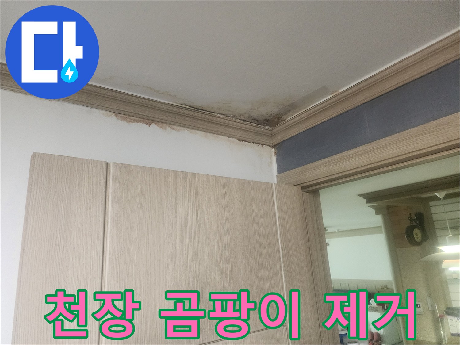 위층-누수로-인해-아래층-천장에-생긴-물얼룩과-곰팡이-현상이-확인됩니다.