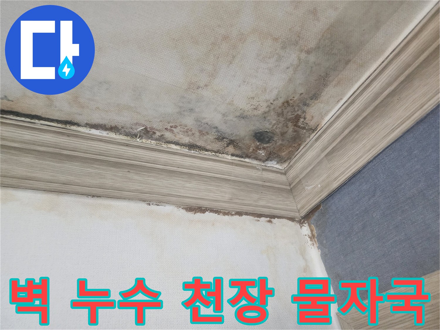 평택 아파트의 벽과 천장에 나타난 뚜렷한 물자국과-곰팡이는-누수탐지 전문업체의 신속한 진단이 필요함을 보여줍니다.