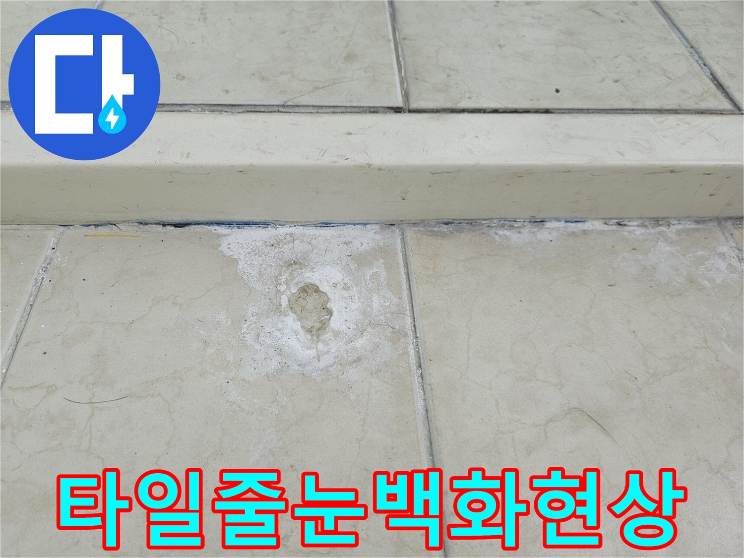 누수로 인해 하얗게 일어난 타일 줄눈 부위 상세 사진