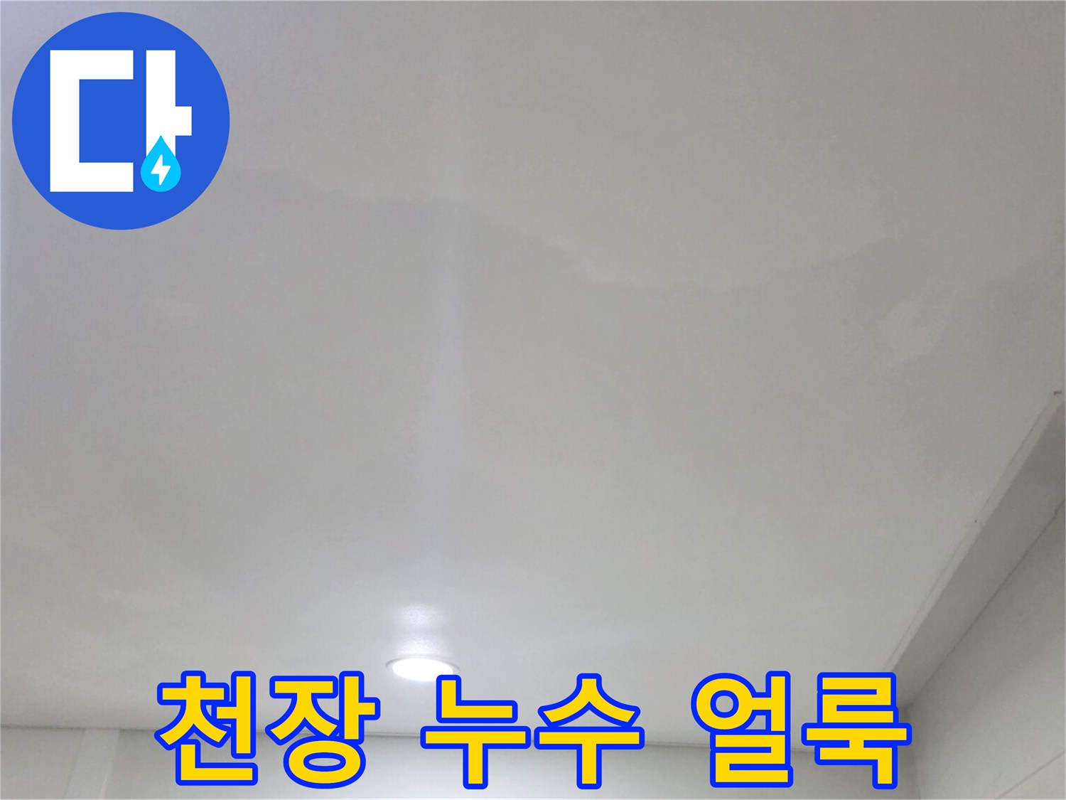 일산서구 아파트 천장의 누수 변색된 부위