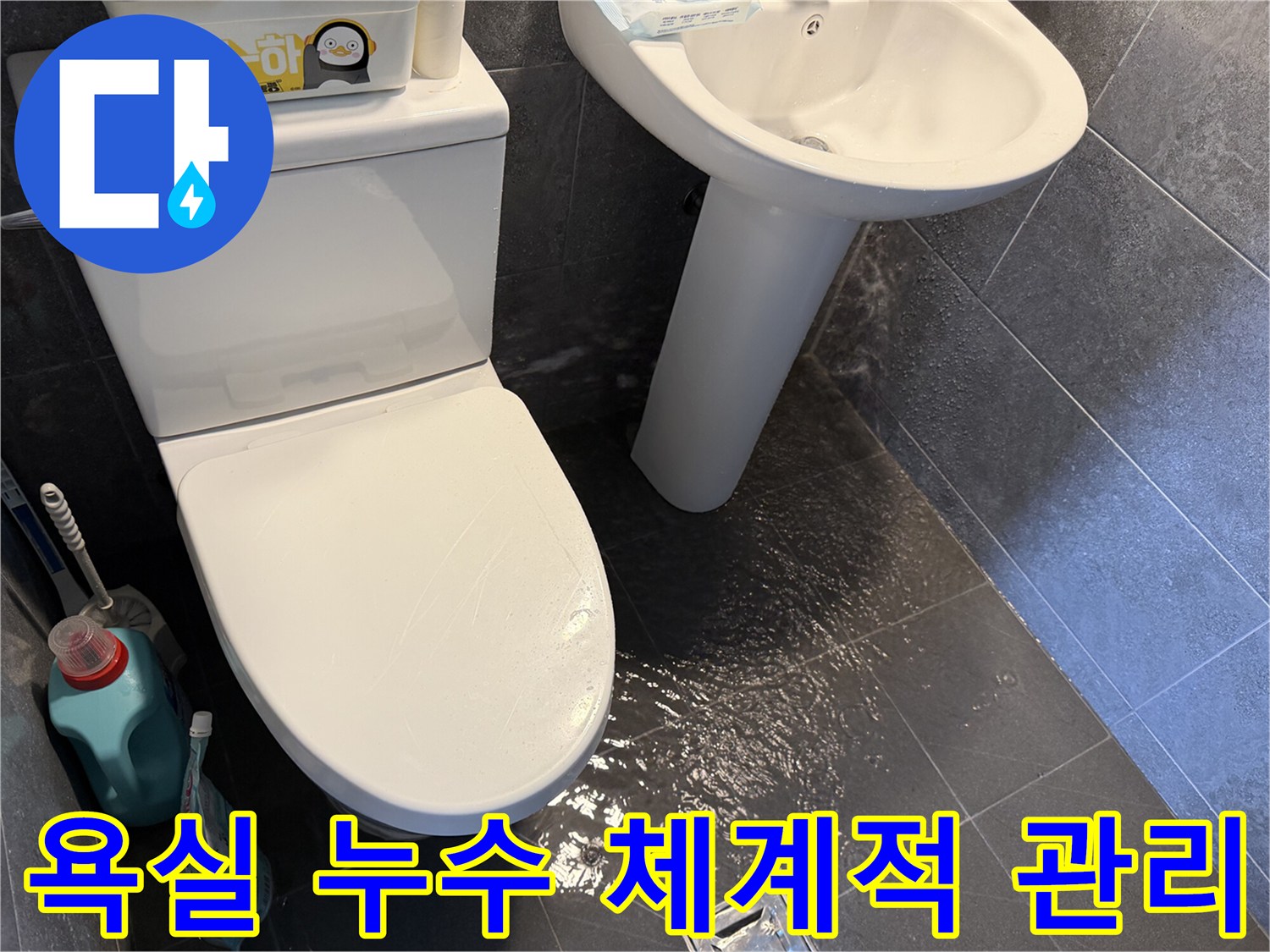 욕실-바닥에-고인-물을-통해-누수-문제를-보여주며-전문가의-체계적인-관리-시스템을-설명하는-사진