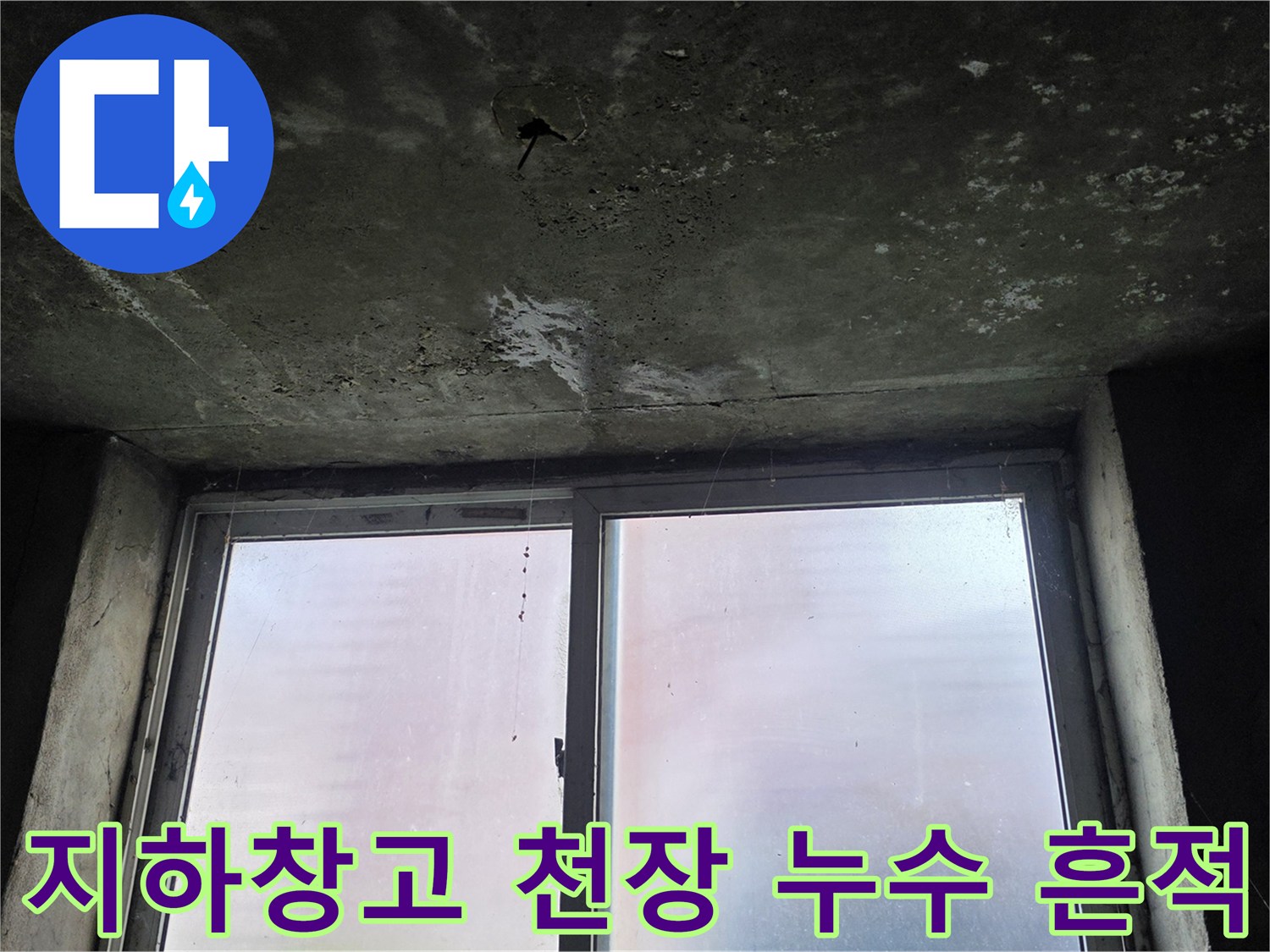 포천-지하-창고-천장-슬래브의-누수-및-곰팡이-흔적