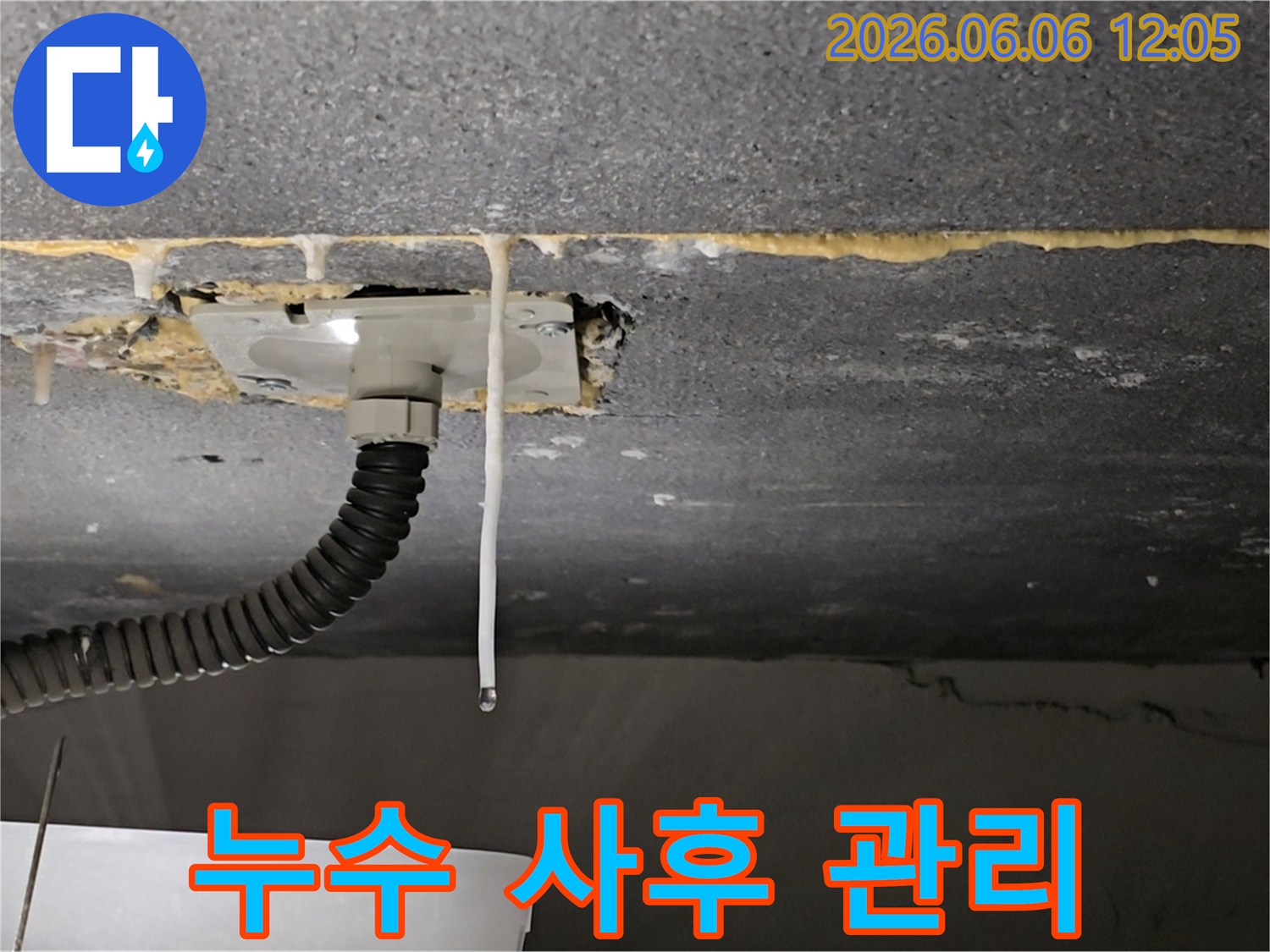 천장에서-물이-새는-누수-현장을-탐지부터-사후-관리까지-책임지는-전문가-사진