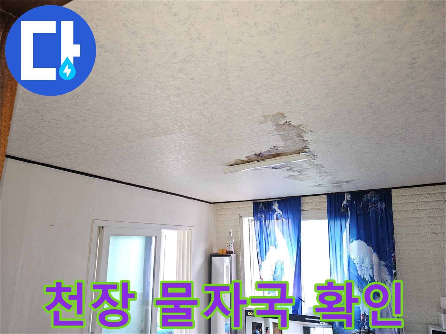 거실 천장 벽지에 나타난 젖은 흔적과 변색 부위