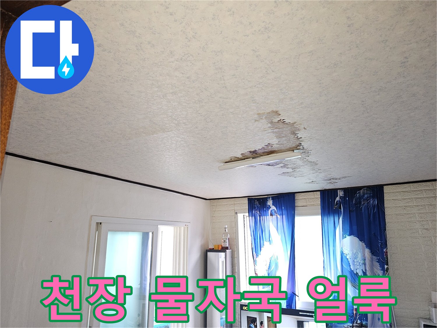 금천구 아파트 거실 천장에 발생한 갈색 누수 흔적과 습기 젖음 현상