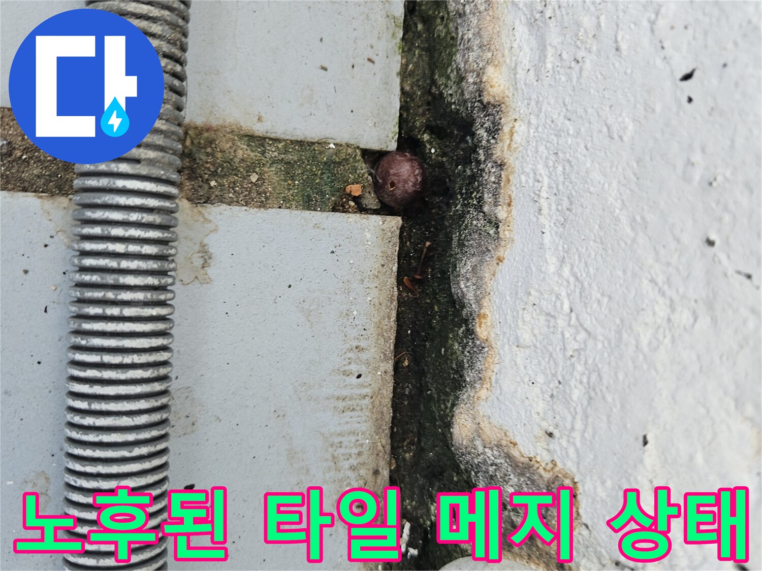 의정부 현장-베란다 타일 균열 및 배관 주변 오염 부위