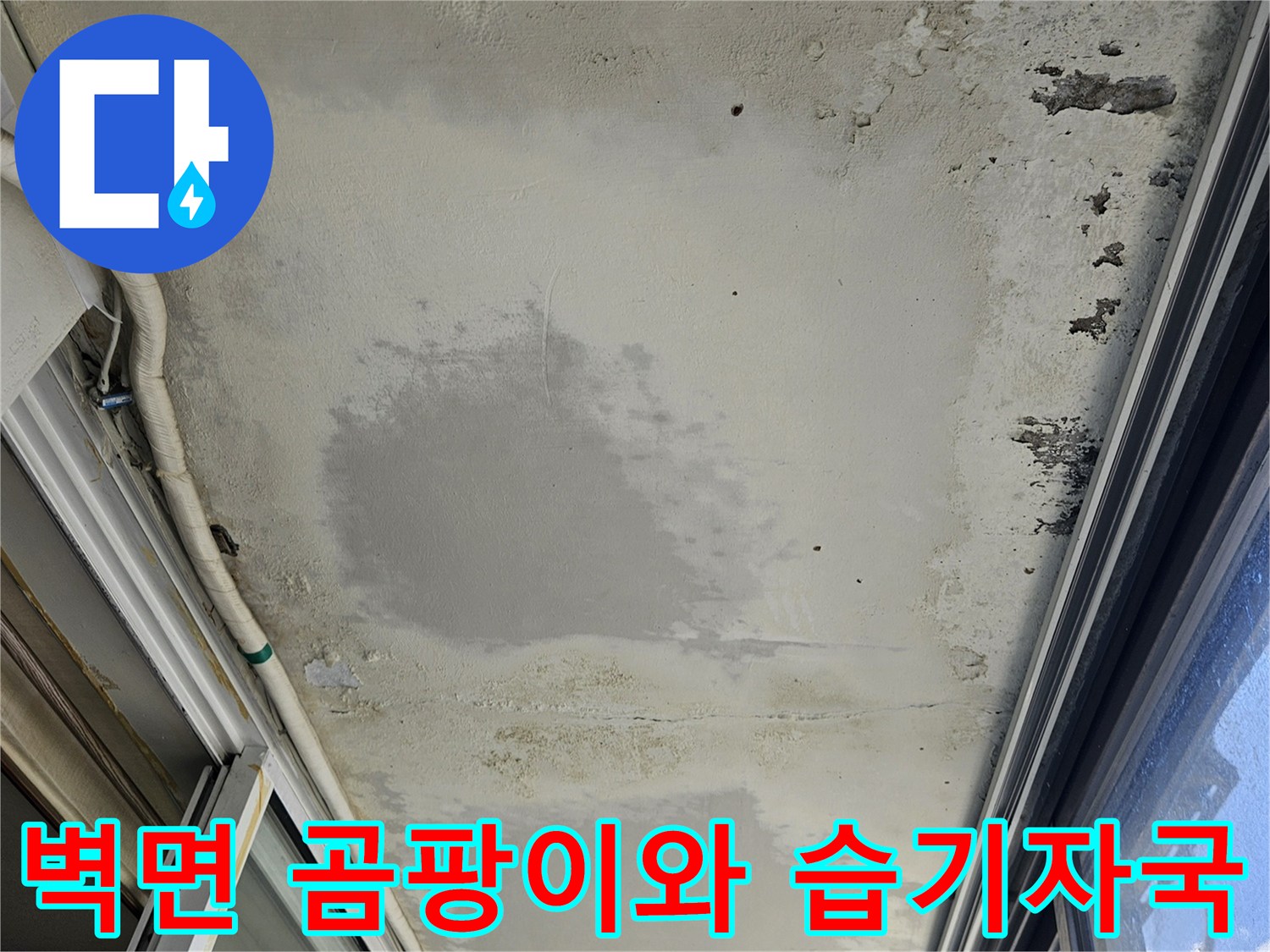 창틀 하단부 벽면-물샘으로 인한 곰팡이 발생 부위