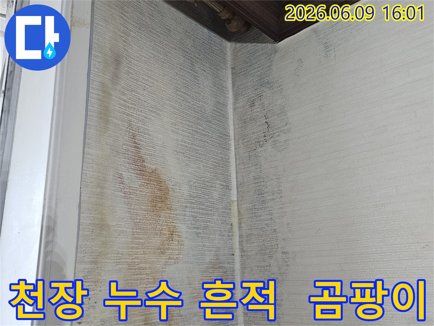 천장에 발생한-물 얼룩과-곰팡이로-누수 피해가-진행 중인-모습입니다