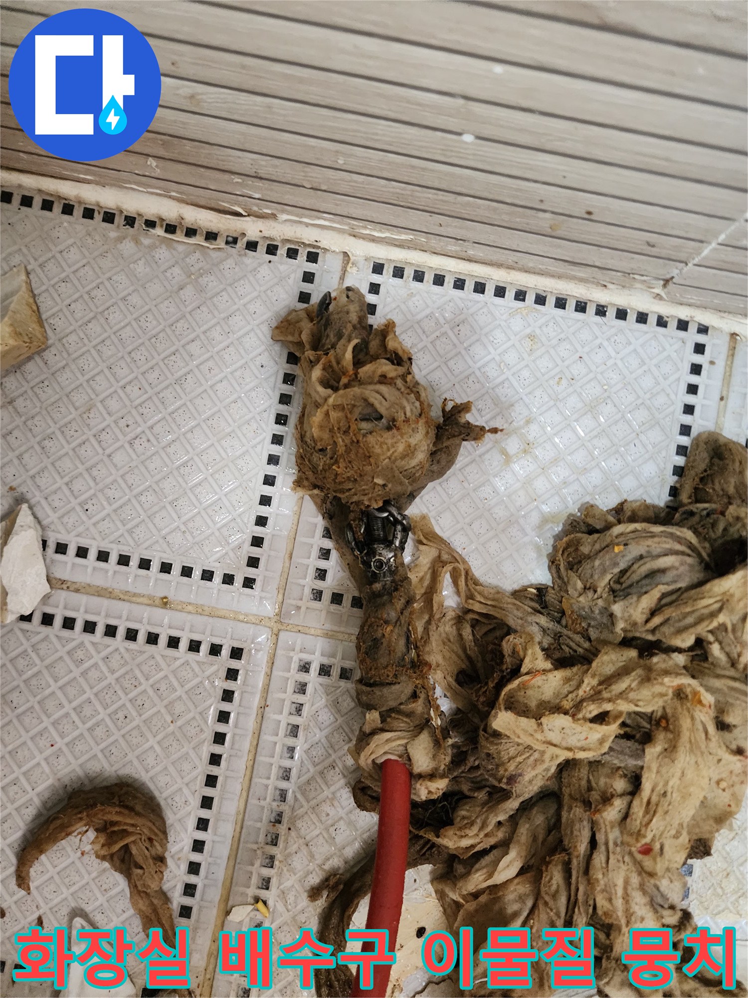 화장실 바닥 배수구에서 인양된 머리카락과 섬유 찌꺼기 덩어리