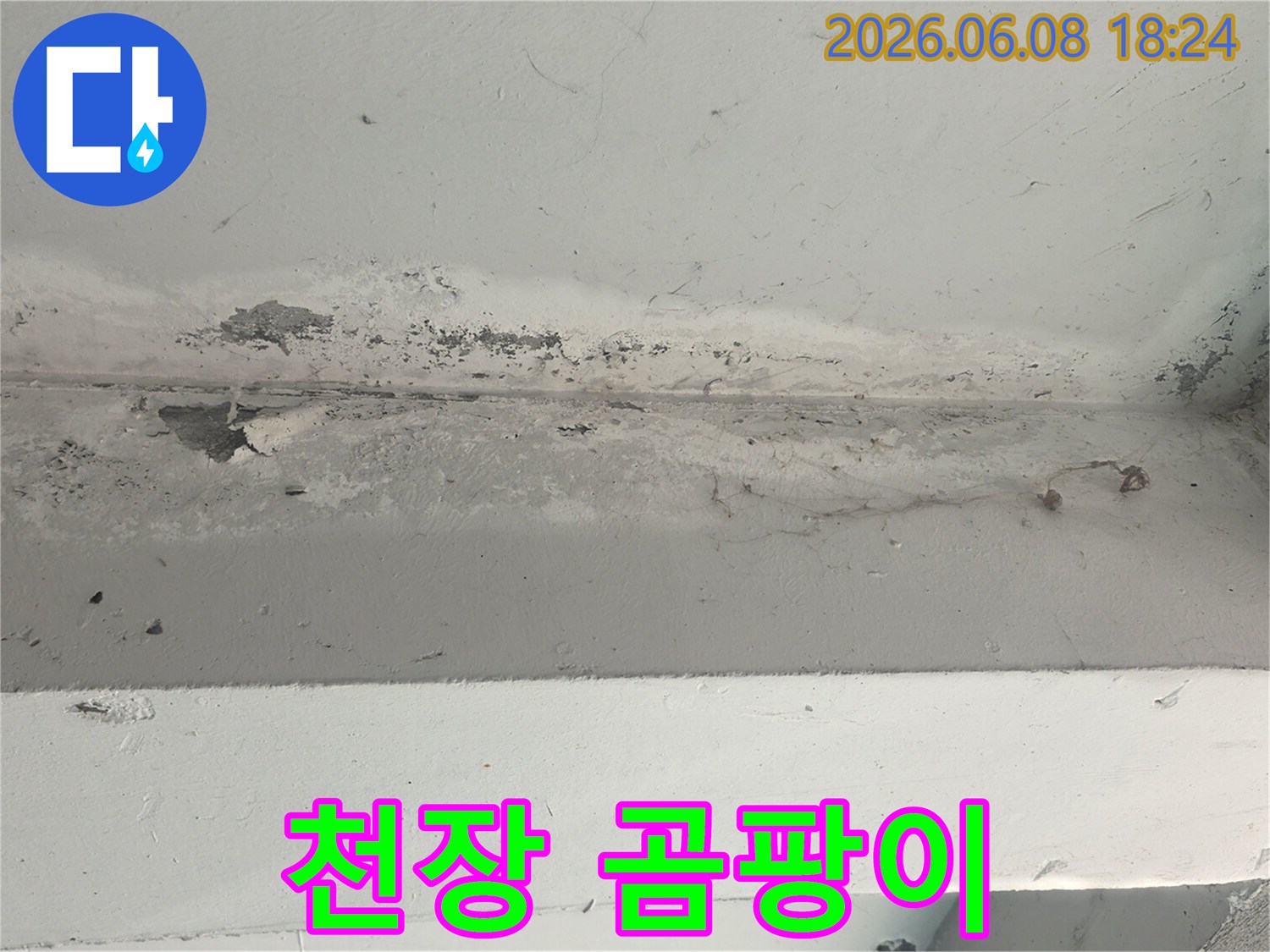 오래된-누수로-인해-천장-표면에-곰팡이가-번식하기-시작한-모습입니다