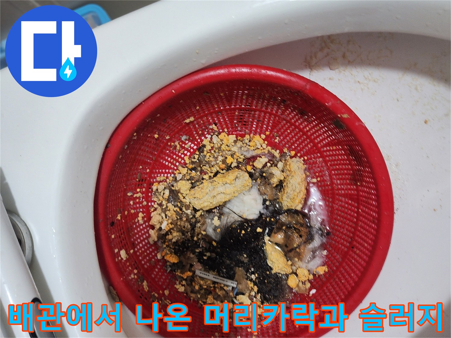 빨간색 거름망에 모여 있는 배수구 내부 오염물 덩어리