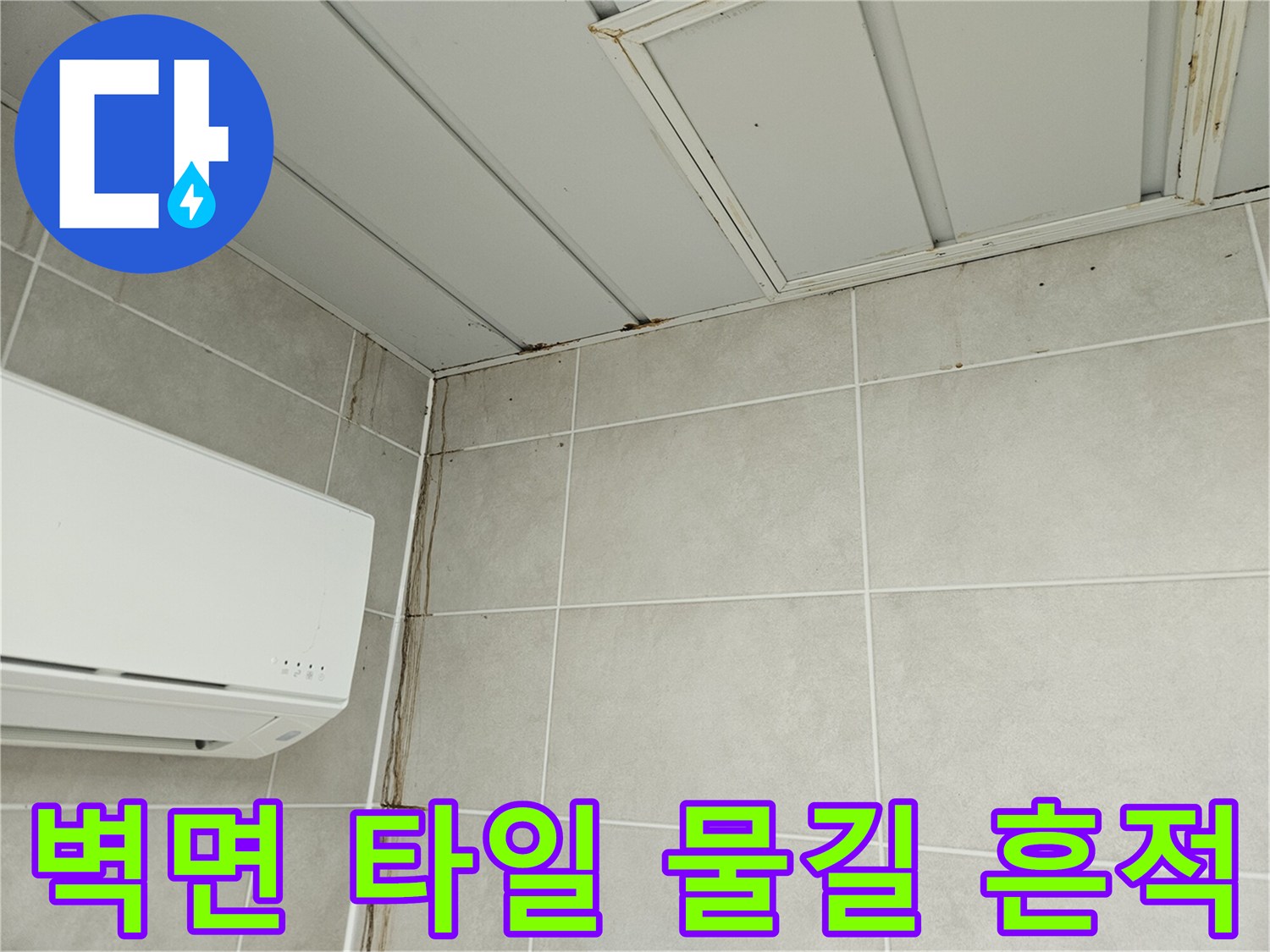 세탁실 벽면-타일 사이의 젖은 자국 사진