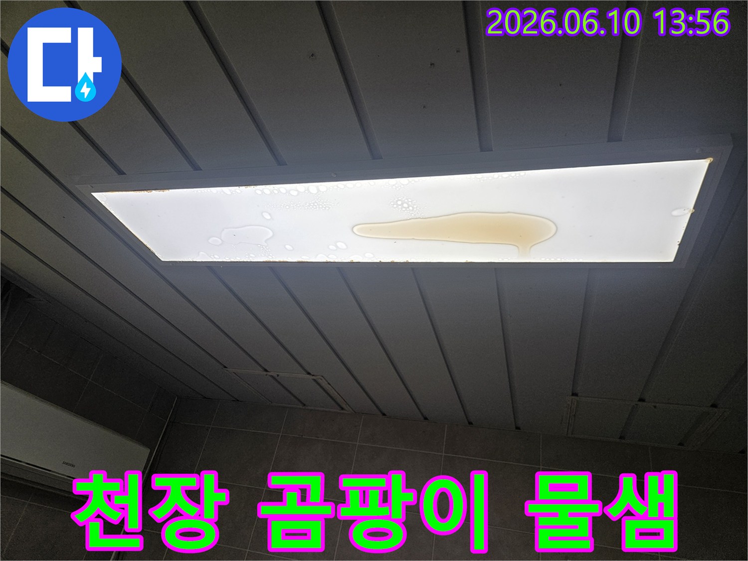 천장 조명 커버 위에 누수로 인해 물이 고여 있는 모습입니다-장기간 방치 시 곰팡이가 발생할 수 있습니다.