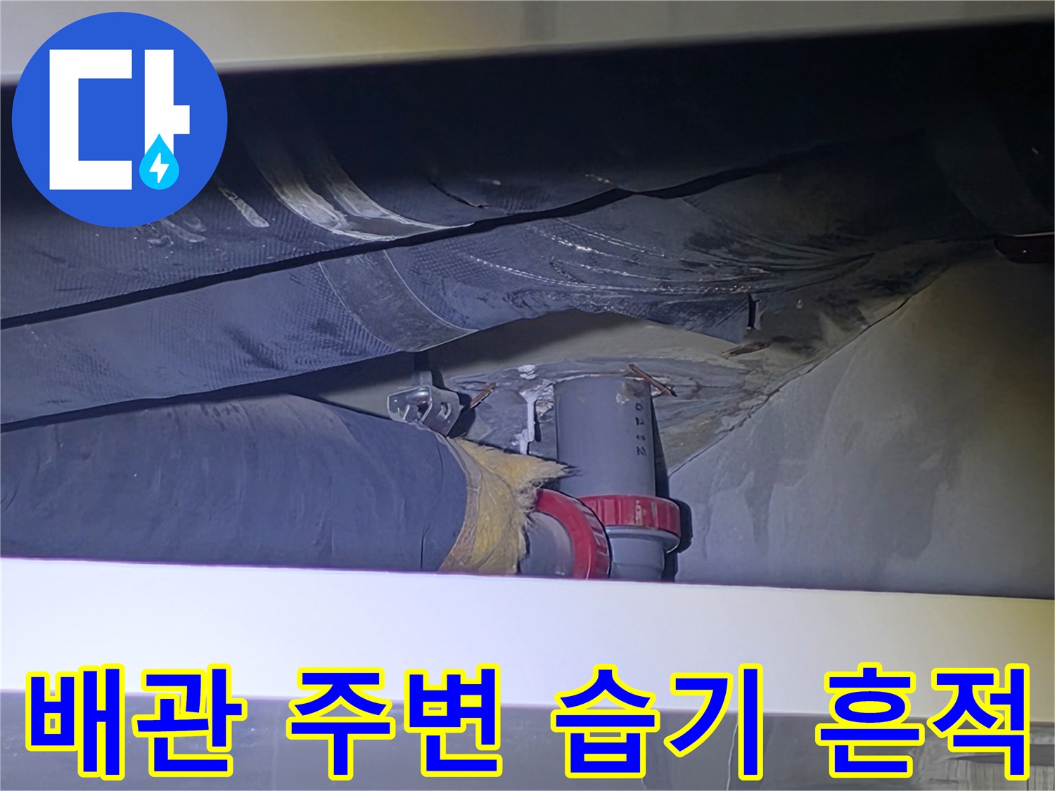 아파트-화장실-천장-배관-주변-습기-및-오염-상태