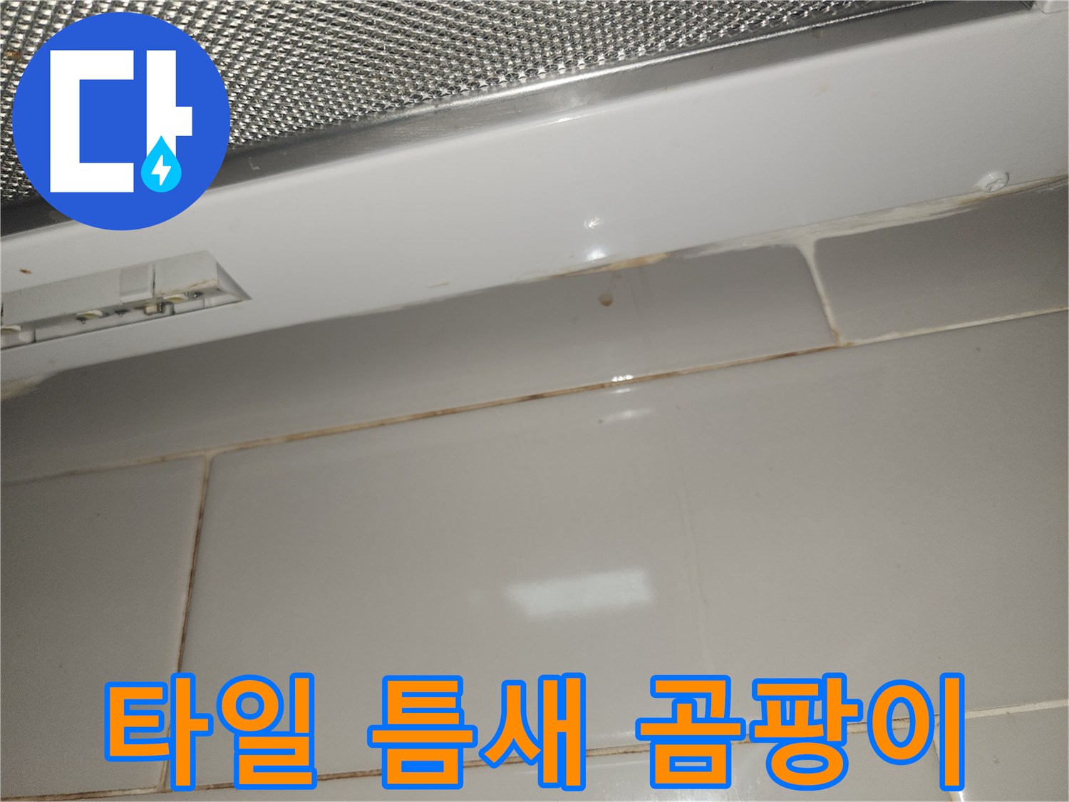 아파트-주방-후드-아래-타일-틈새에-생긴-누수-곰팡이-사진
