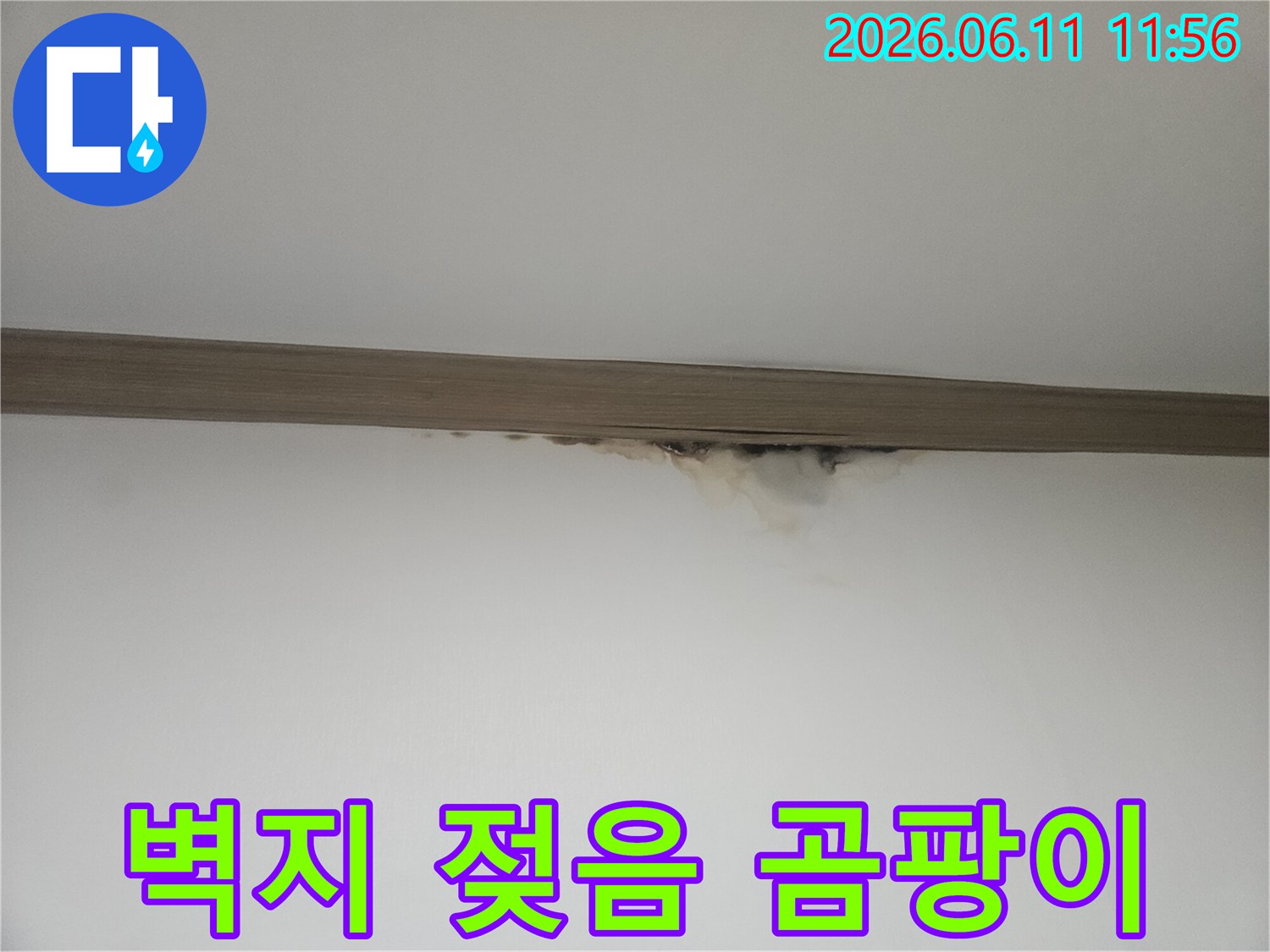 벽지-젖음과-함께-발생한-누수-곰팡이-현장을-보여주는-사진입니다