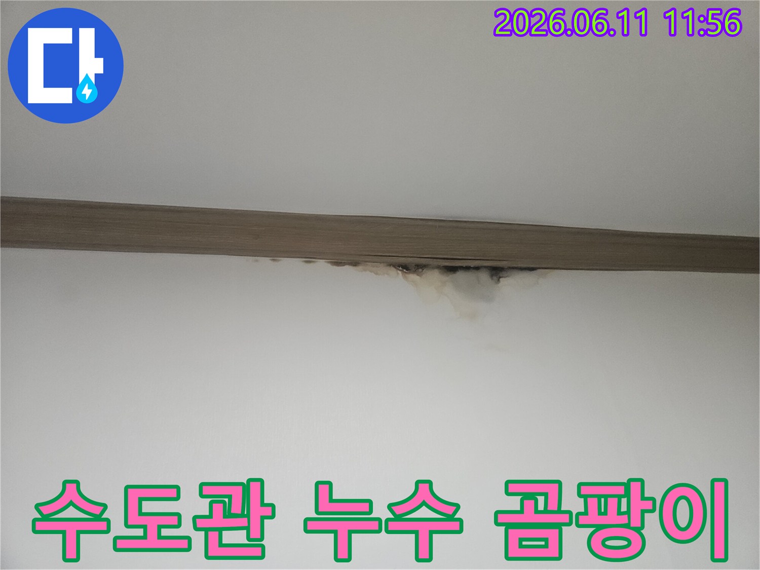 수도관-누수로-인해-벽면에-발생한-곰팡이와-물샘-현장-사진입니다