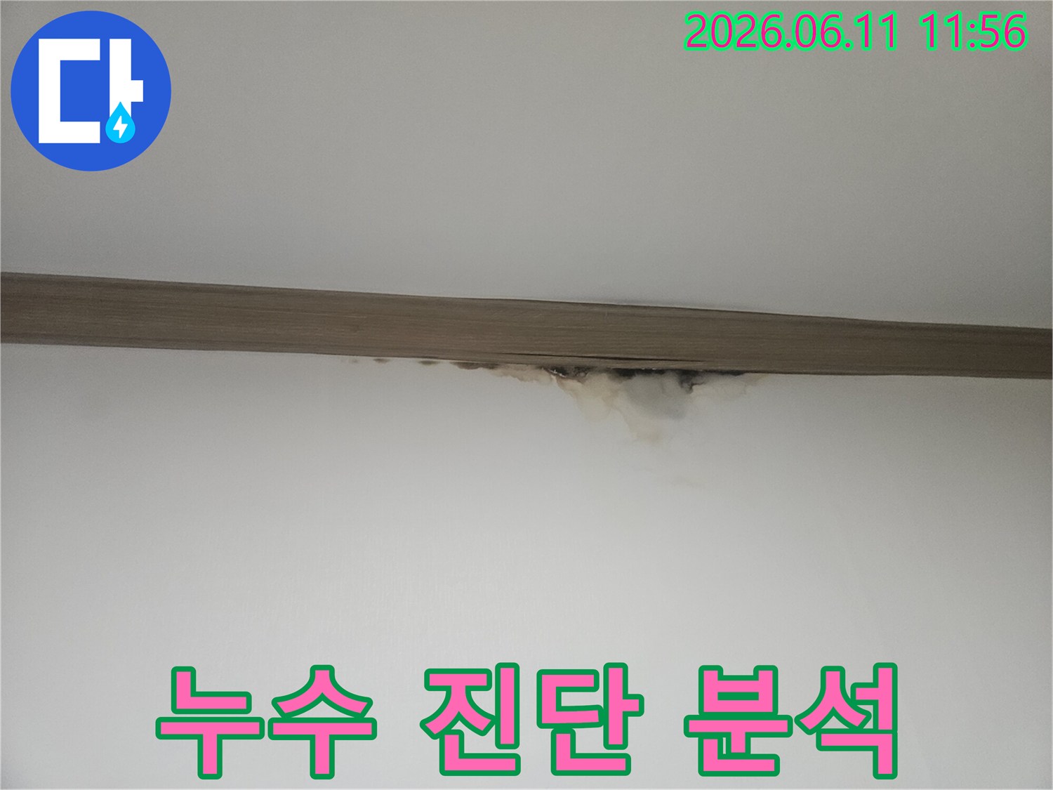 천장과 벽의 경계에-누수로 인한 물얼룩과-곰팡이가 발생하여-정확한 진단이 필요한 현장