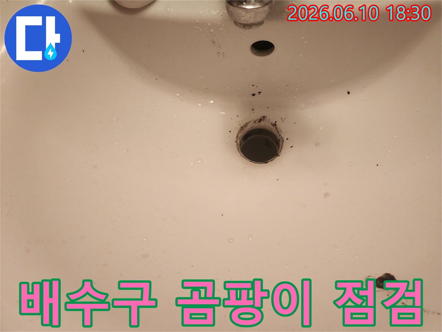 영등포구-문래동-욕실-배수구-주변-곰팡이-누수-점검-사진