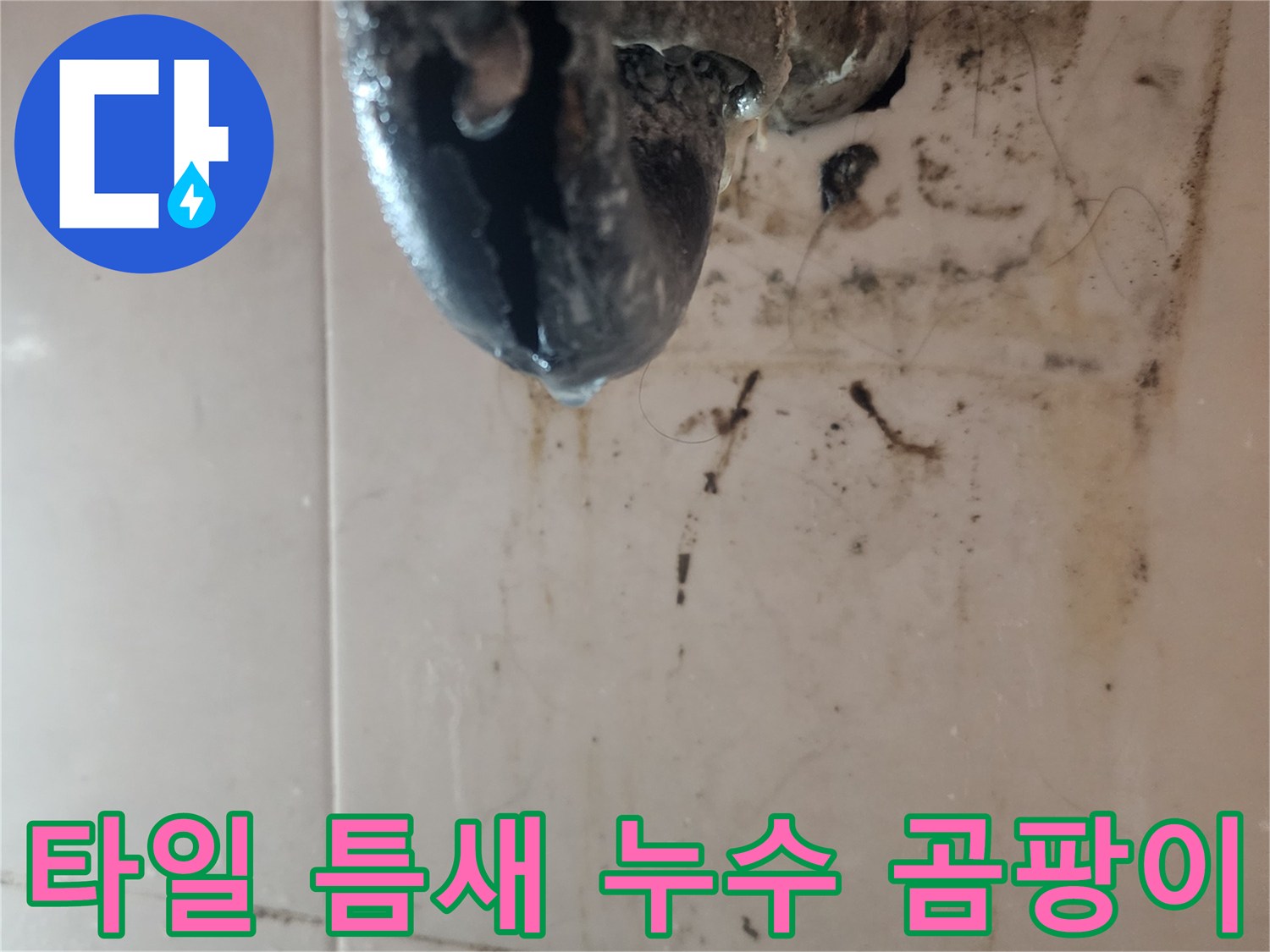 타일-틈새와-배관-주변에-발생한-심각한-곰팡이와-누수-흔적을-보여주는-이미지입니다