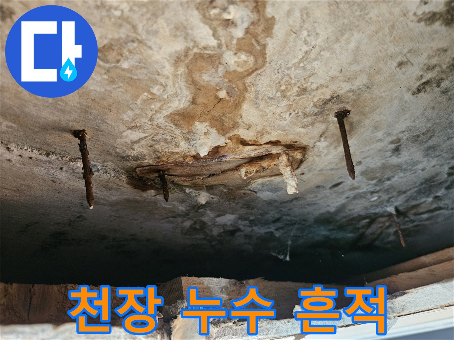 동작구 사당동-아랫집 천장 마감재 변색 및 곰양 발생 상태