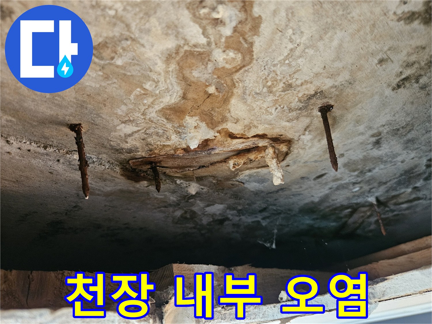 습기로 인해-부식되고 변색된 천장 마감재 부위